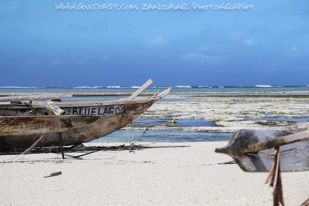Albatross Ocean View Hotel Dongwe Luaran gambar