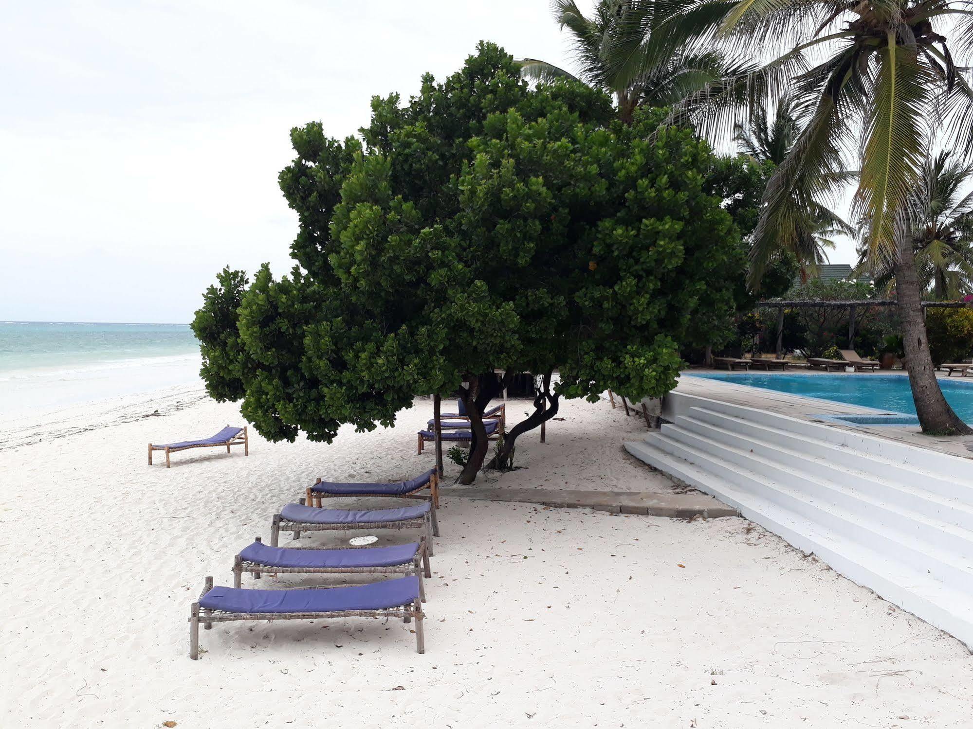 Albatross Ocean View Hotel Dongwe Luaran gambar